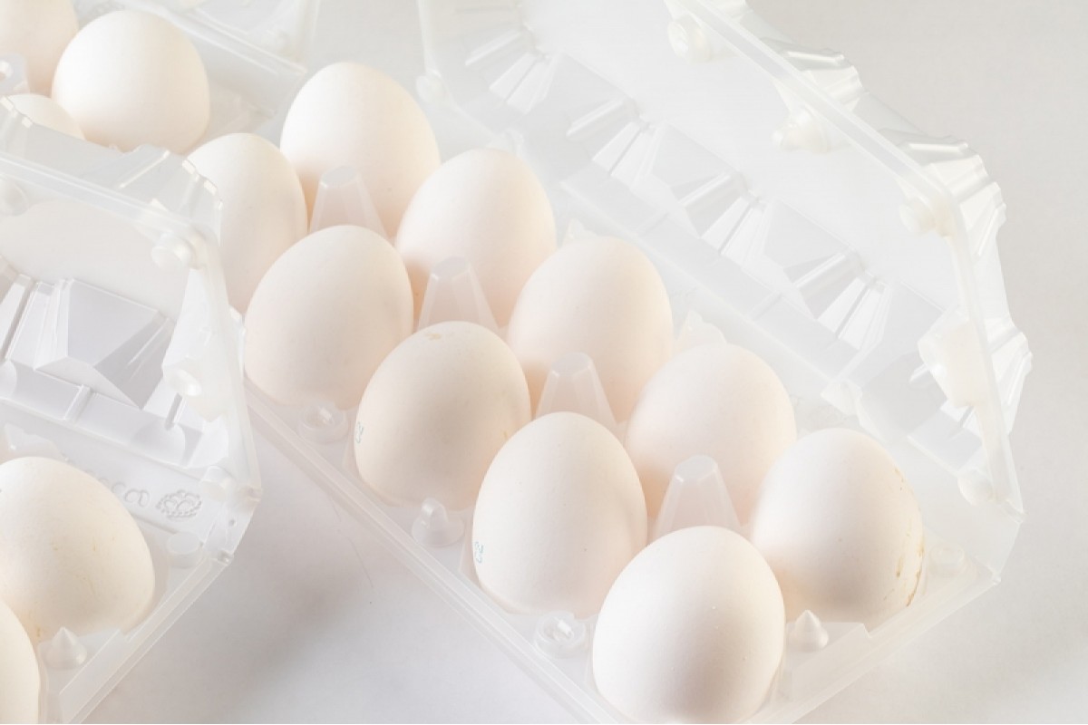 Яйца купить нижний новгород. Яйцо отборное. Яйцо в ячейке отборное. Яйцо отборное Кузбасс белое. Шерл яйцо купить.